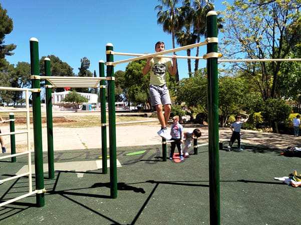 Barra Calistenia exterior DUCP-2009 - Imagen 6