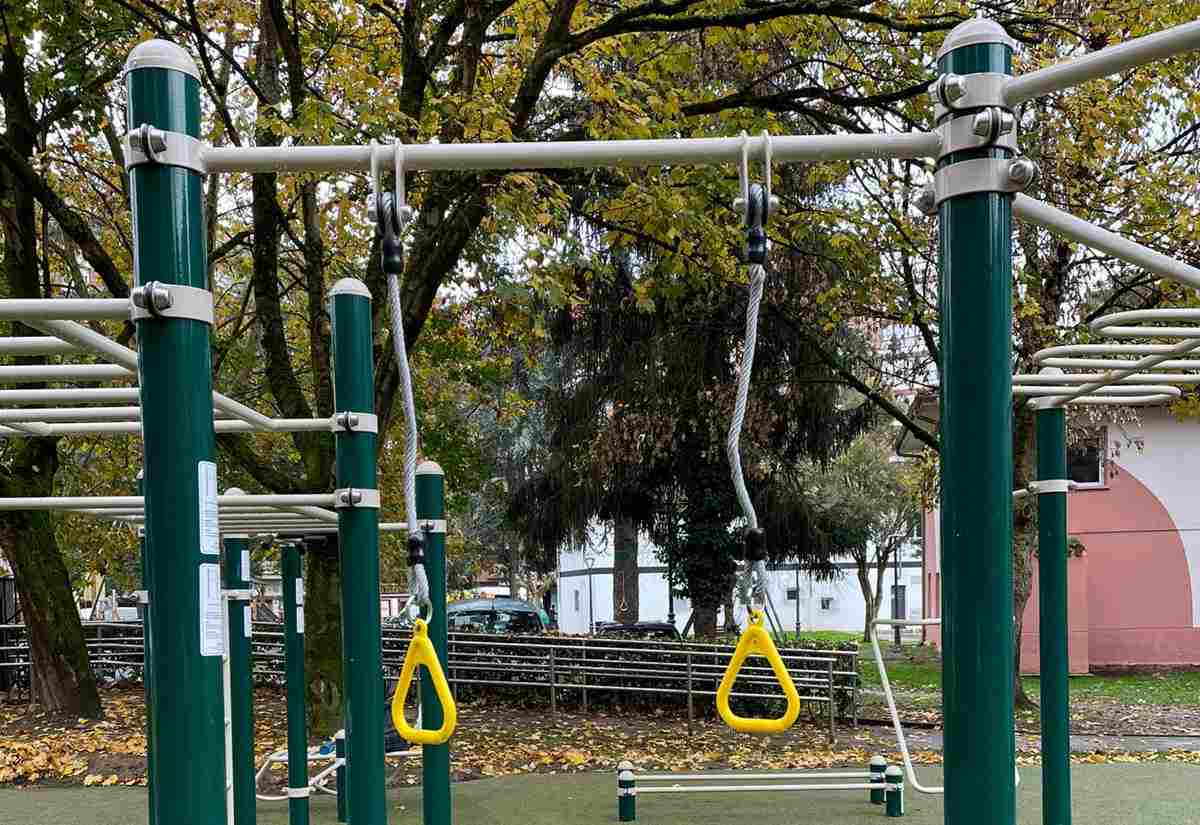 Equipamiento Calistenia exterior DUCP-2016 (Anillas) - Imagen 5