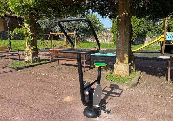 Máquina Biosaludable Bicicleta DUBNT-74 BIKE (Fohn Bike) - Imagen 7
